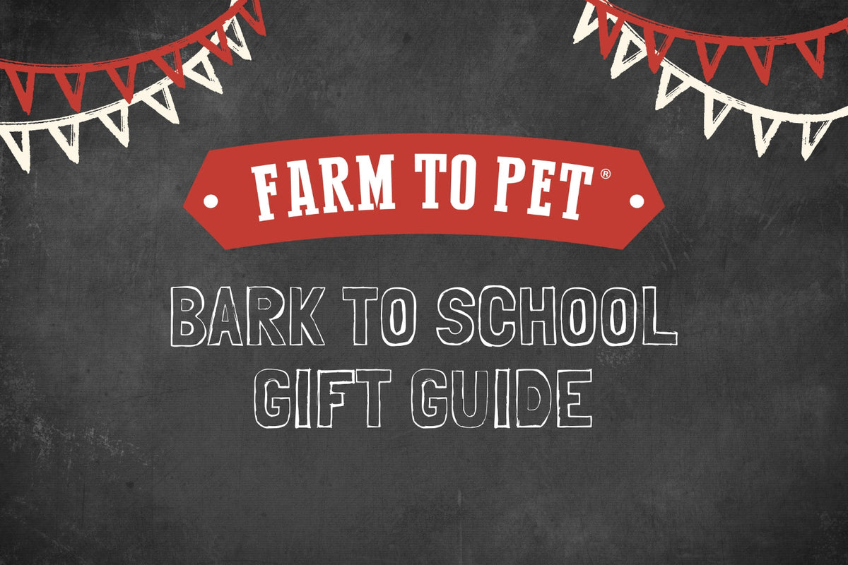 Graphic for the Back to School Gift Guide from Farm to Pet called