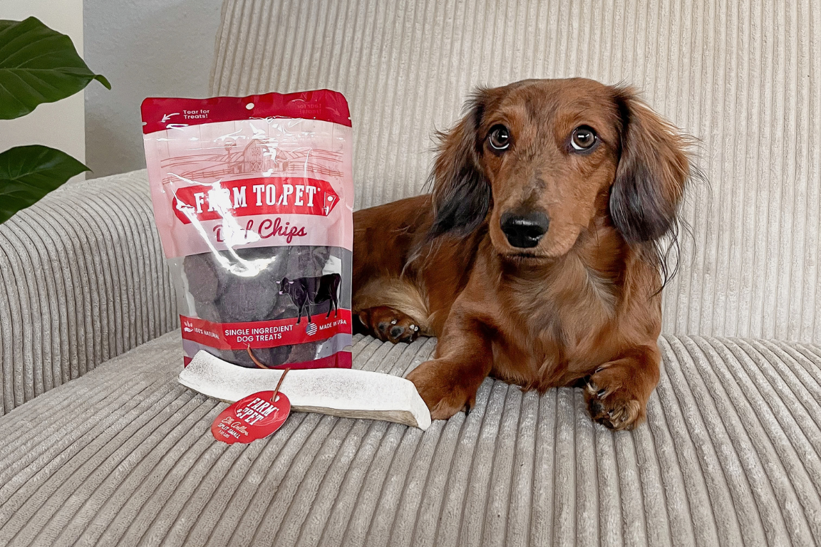 dachshund with farm to pet treats and antler chew