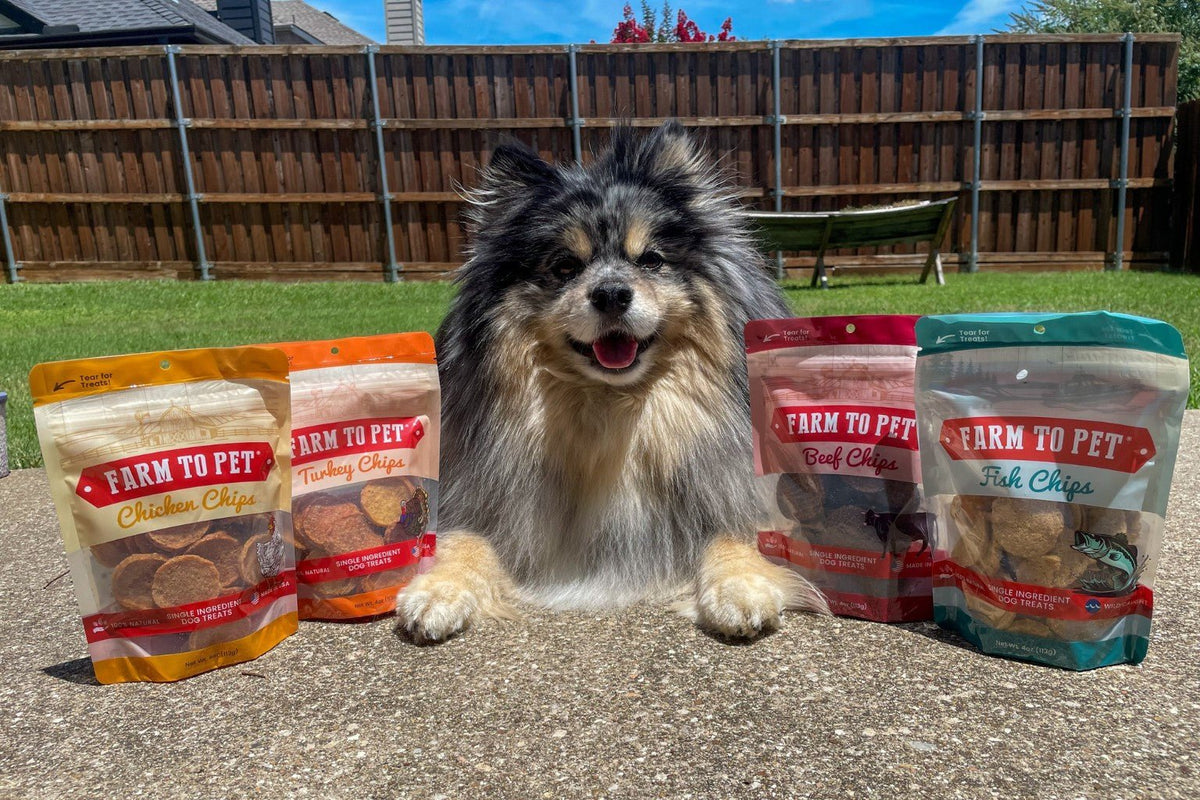 Fluffy dog sitting with four different protein treat bags from Farm to Pet