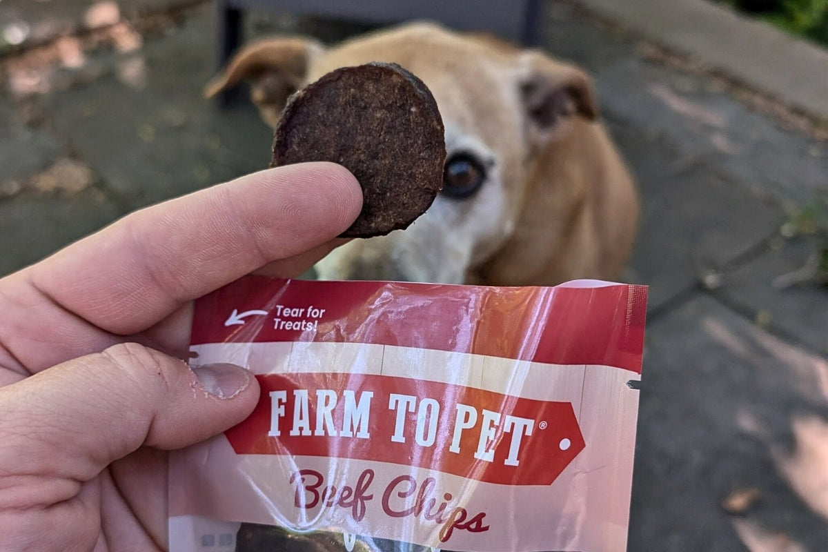 Hand holding a bag of Farm to Pet Beef Chip bag and offering a brown and white dog a beef chip.