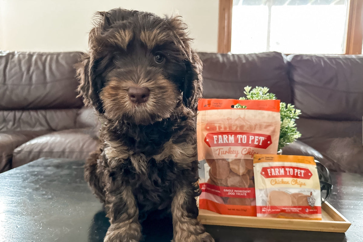 The Best Proteins for Dogs - Farm To Pet