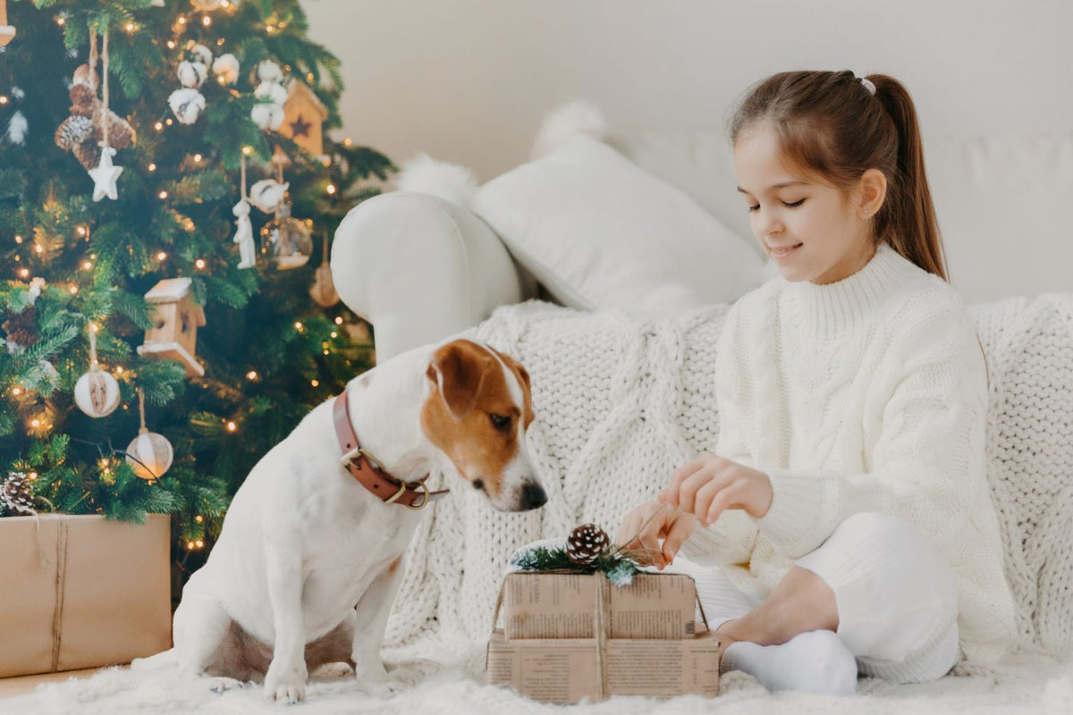 The Best Holiday Dog Gifts for 2023 - Farm To Pet