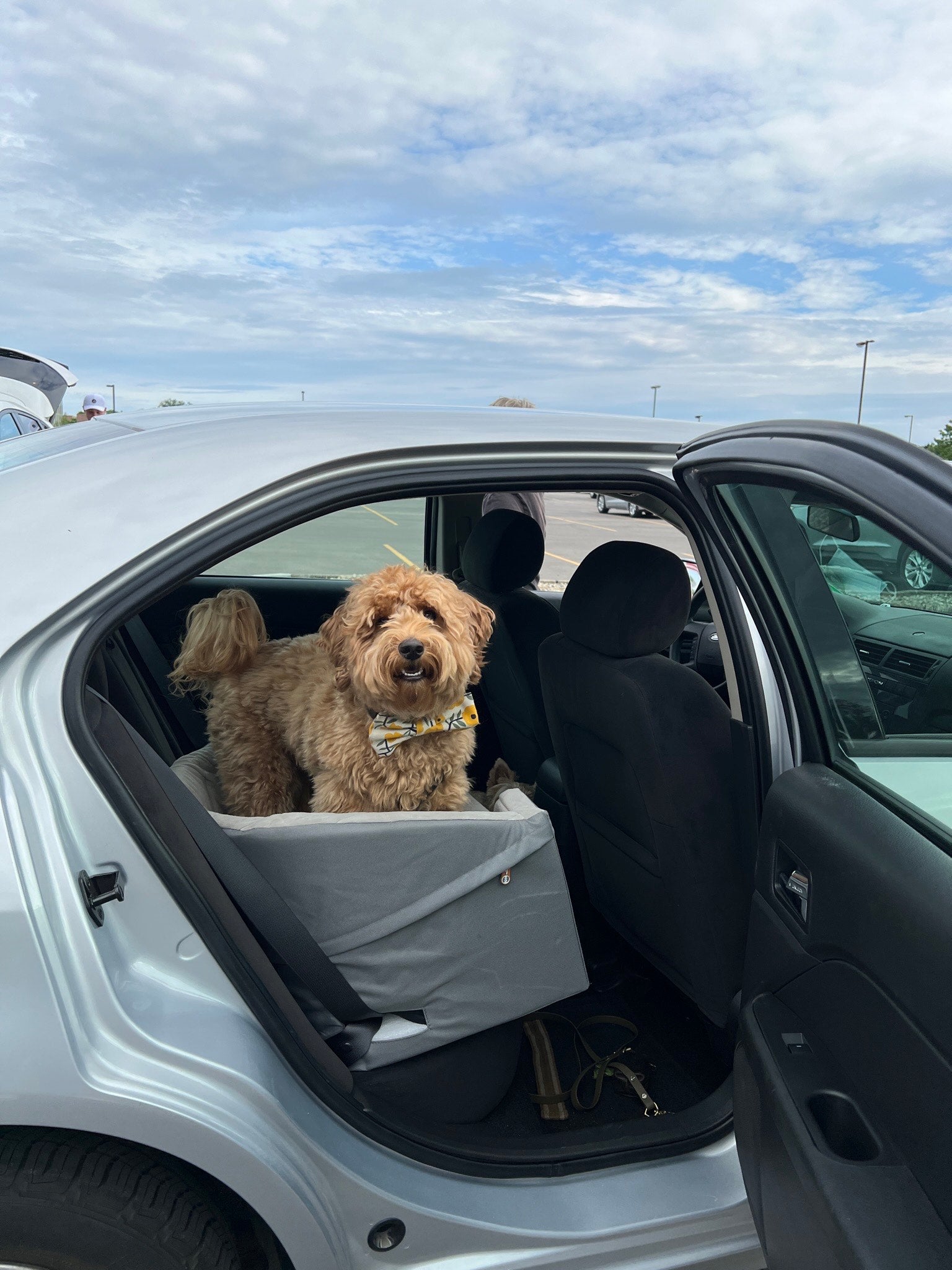 Brooks' Holiday Travel Favorites - Farm To Pet