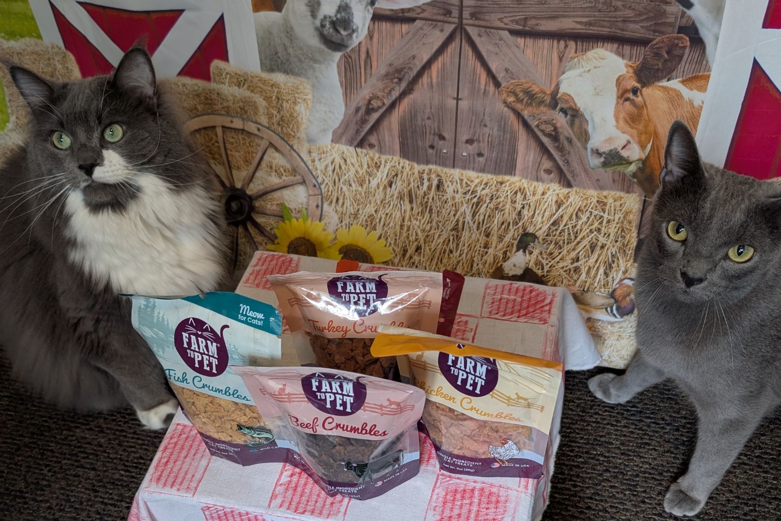 Two cats sitting by a table with four bags of Farm to Pet Crumbles cat treats.