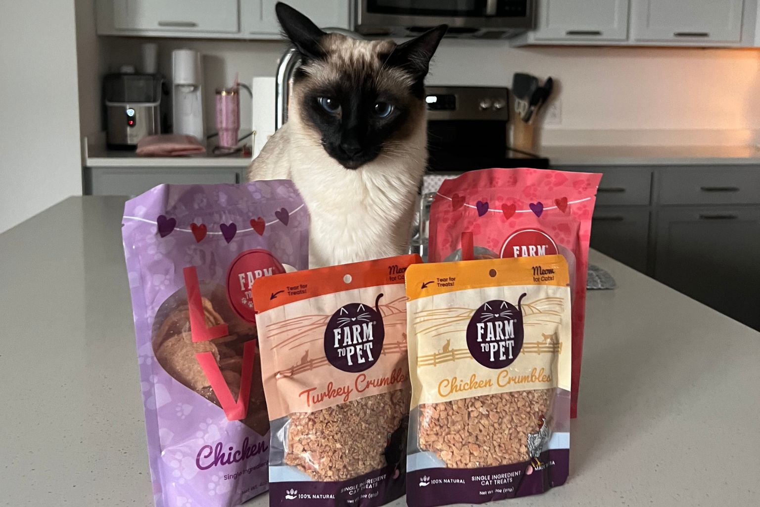 A Siamese cat surrounded by Farm to Pet healthy cat treat bags