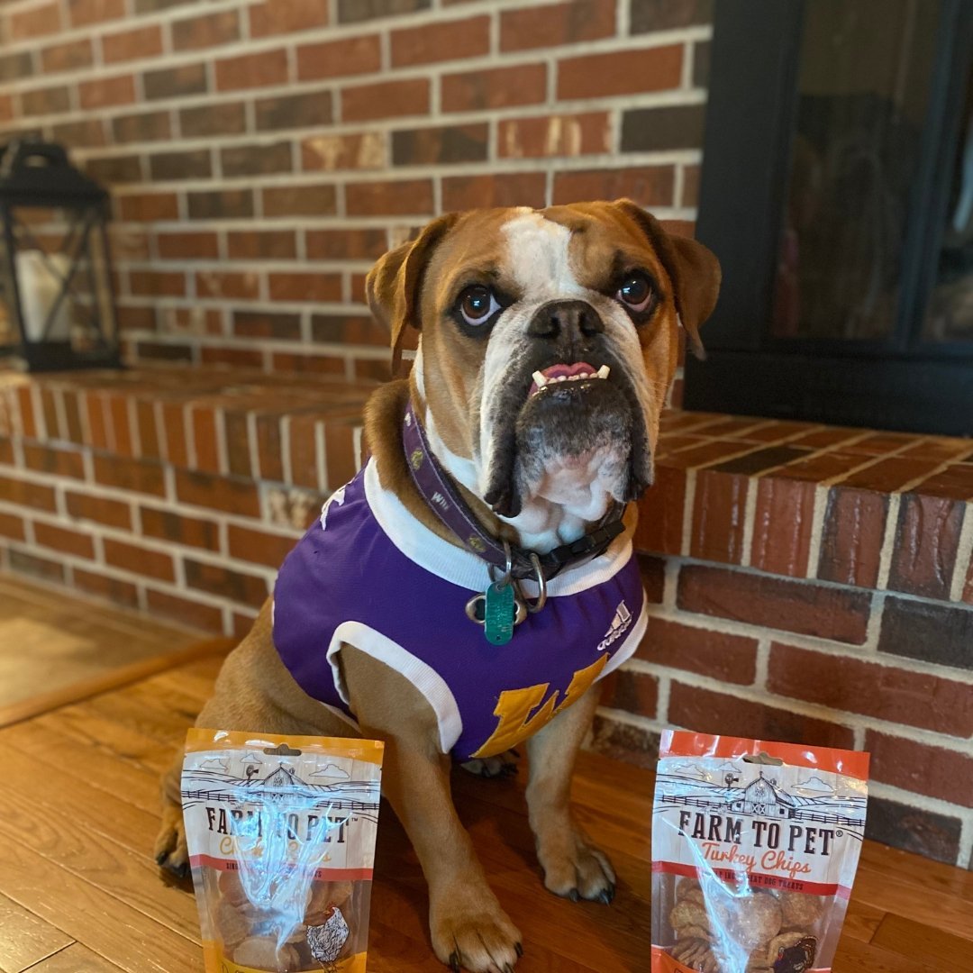 College Athletics' Biggest Starsย  - Farm To Pet