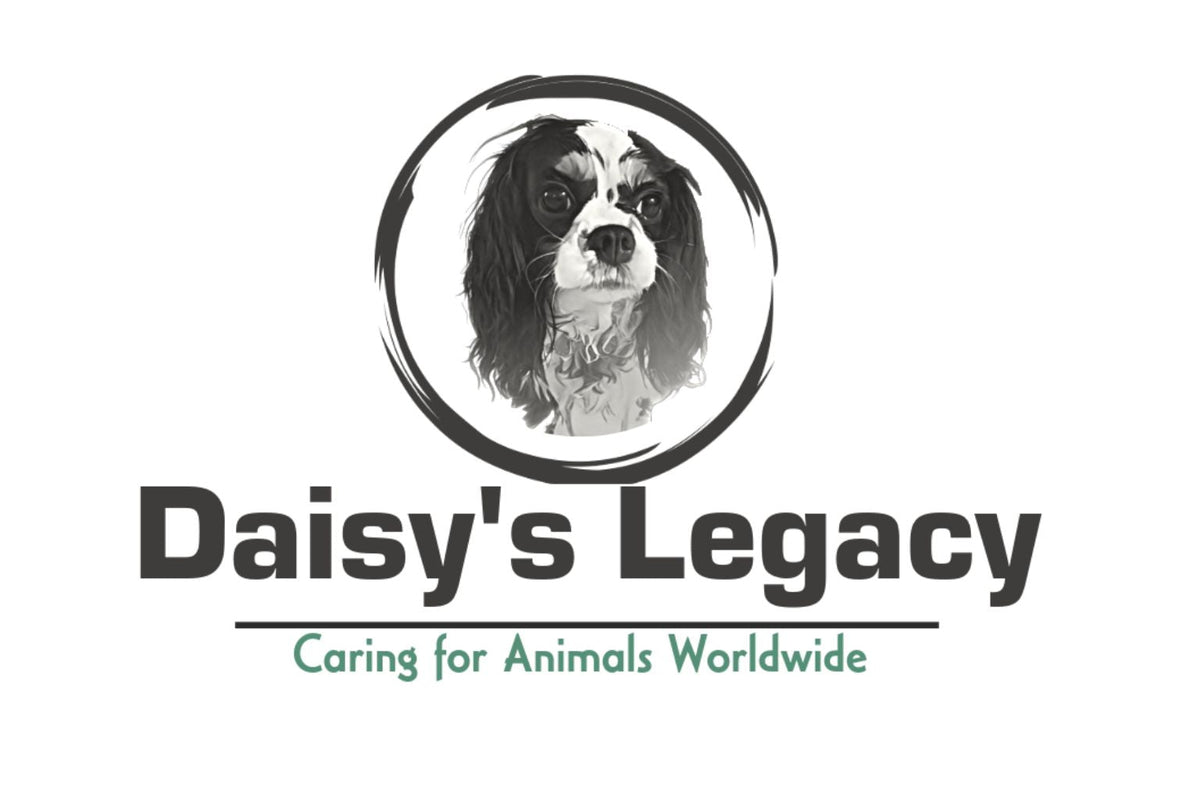 logo for the Daisy's Legacy pet charity organization