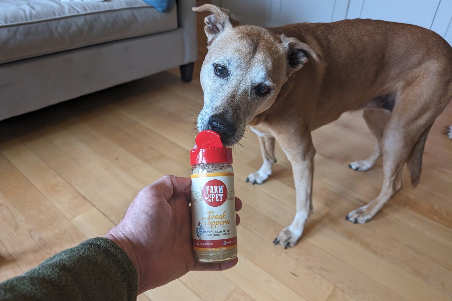 Rooney, the rescue dog, eating Farm to Pet Treat Toppers out of the jar.