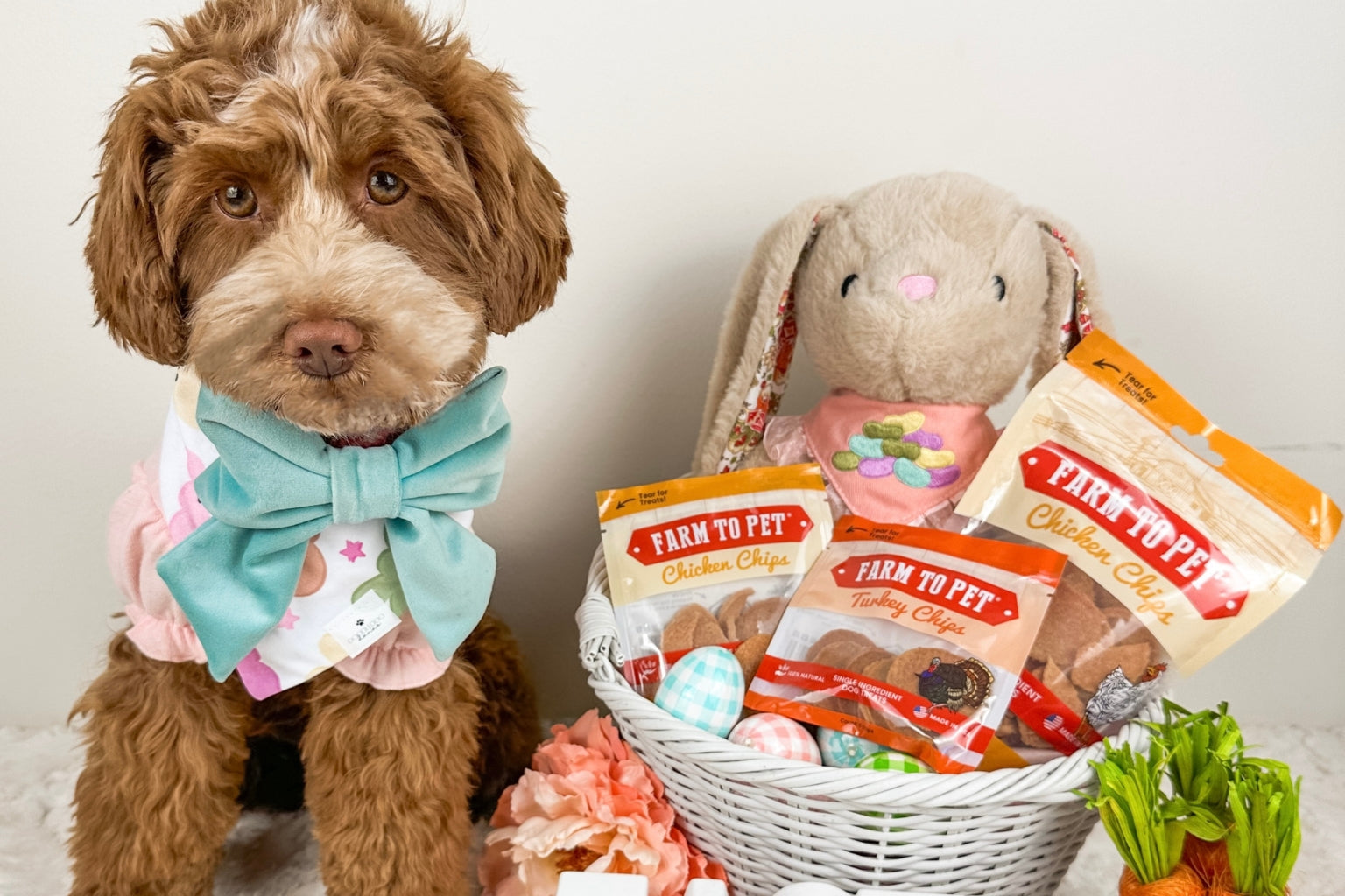 Dog enjoying Easter with Farm to Pet Treats