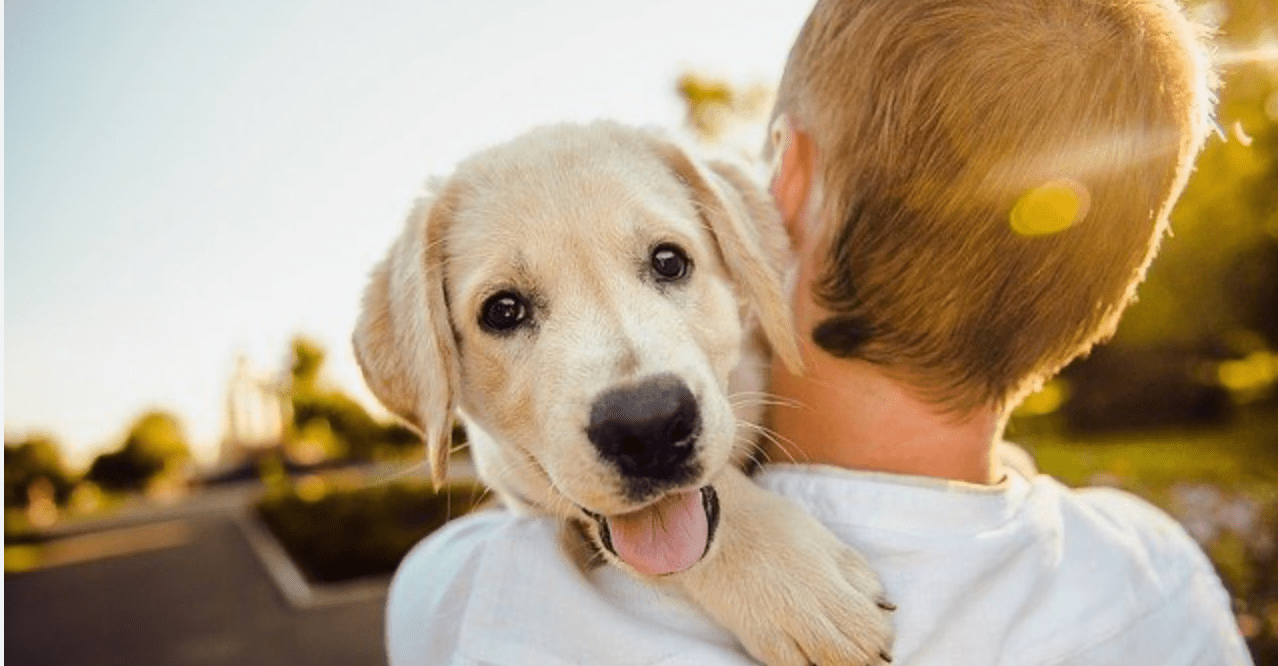 Famous Athletes and their Dogs - Farm To Pet