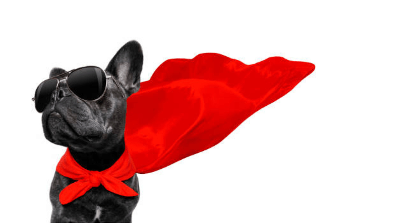 For the Luck of the Pup - Farm To Pet