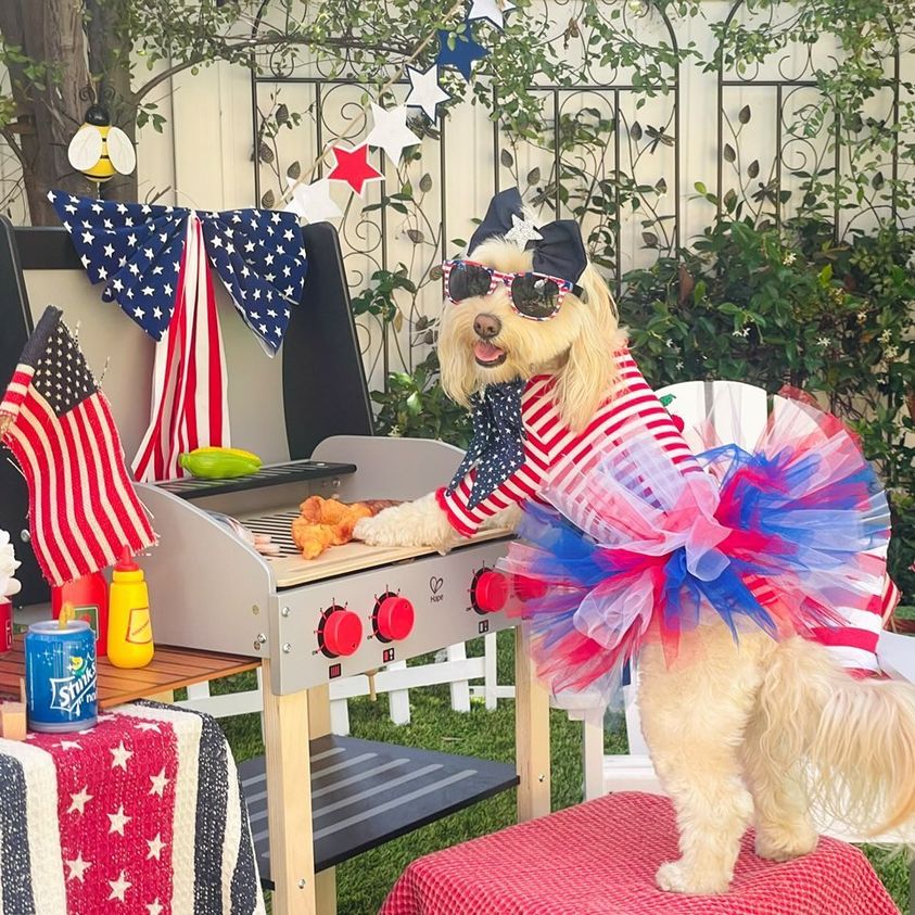 FURiendly 4th Festivities - Farm To Pet