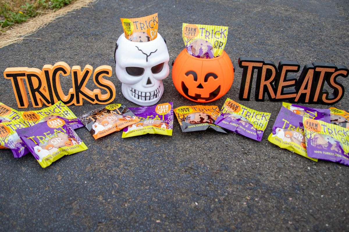 German shepherd dog sitting next to Farm to Pet Halloween Pet Treats
