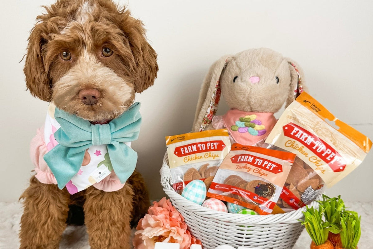 Hop To It! Tips for a Safe and Fun Easter for Dogs - Farm To Pet