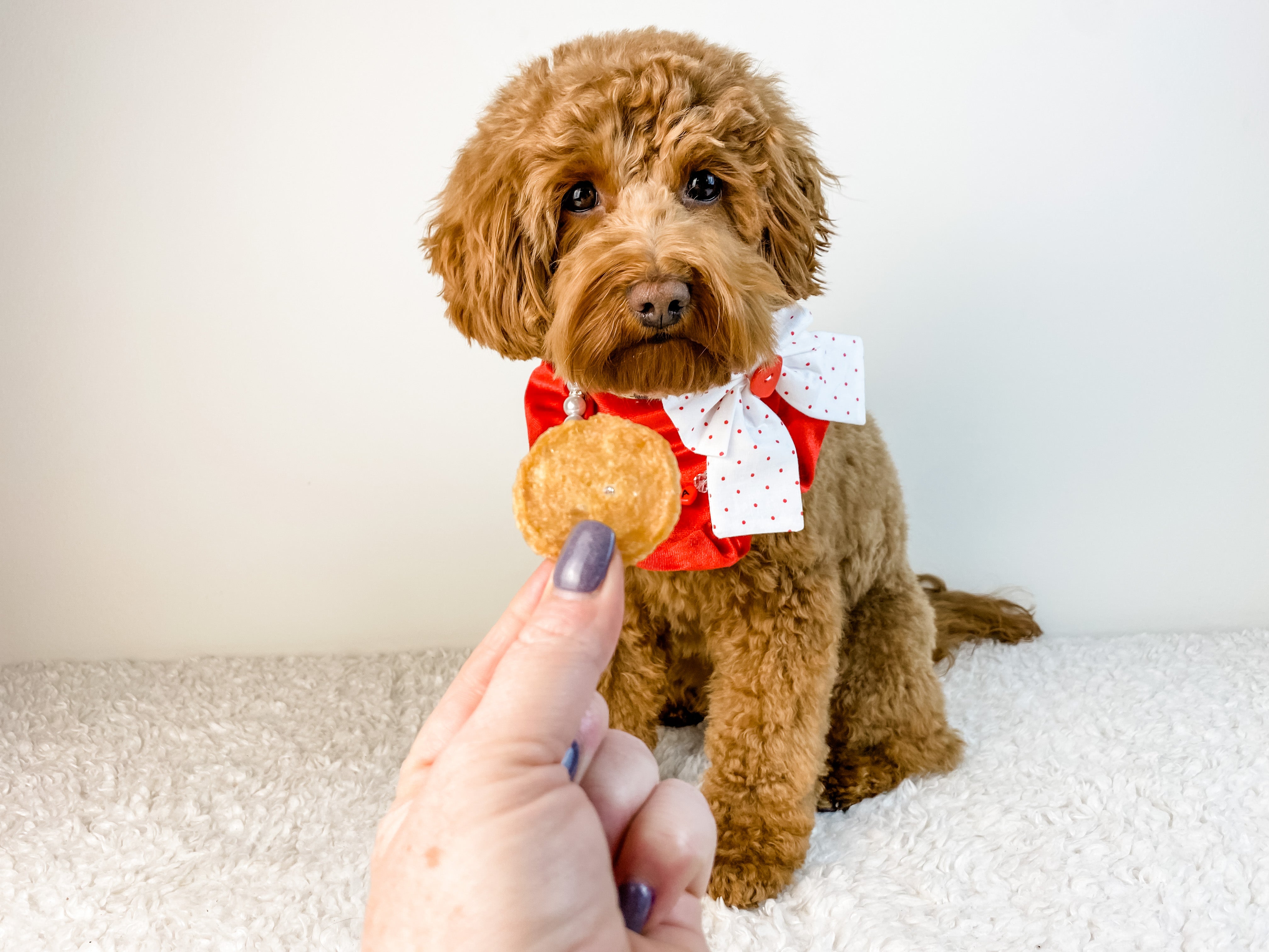 Love Stories - Farm To Pet