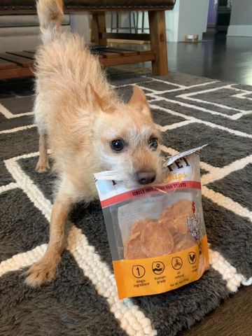 Man’s Best Friend - Farm To Pet