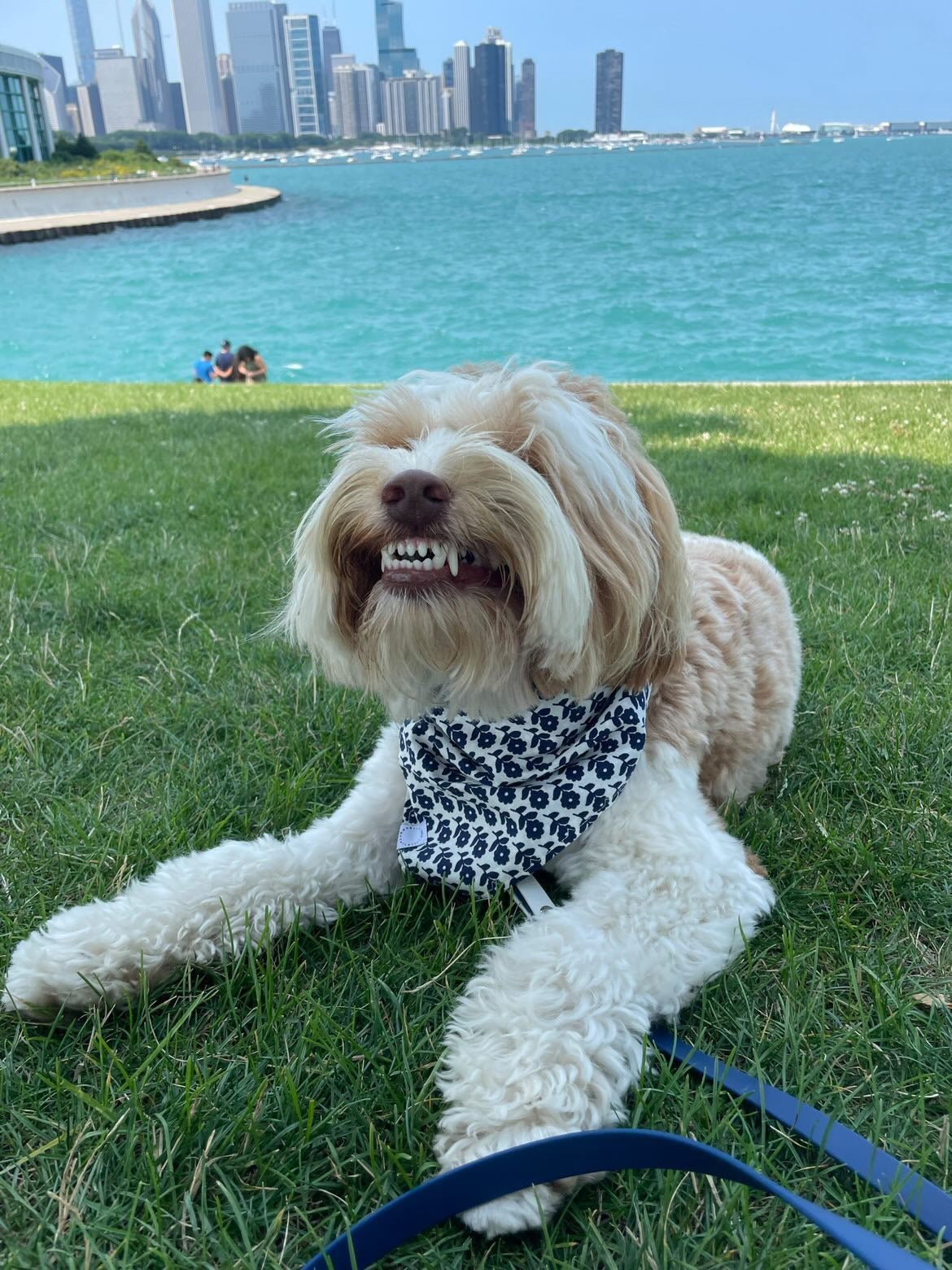 Meet Our FURiends: Henry and Karley - Farm To Pet