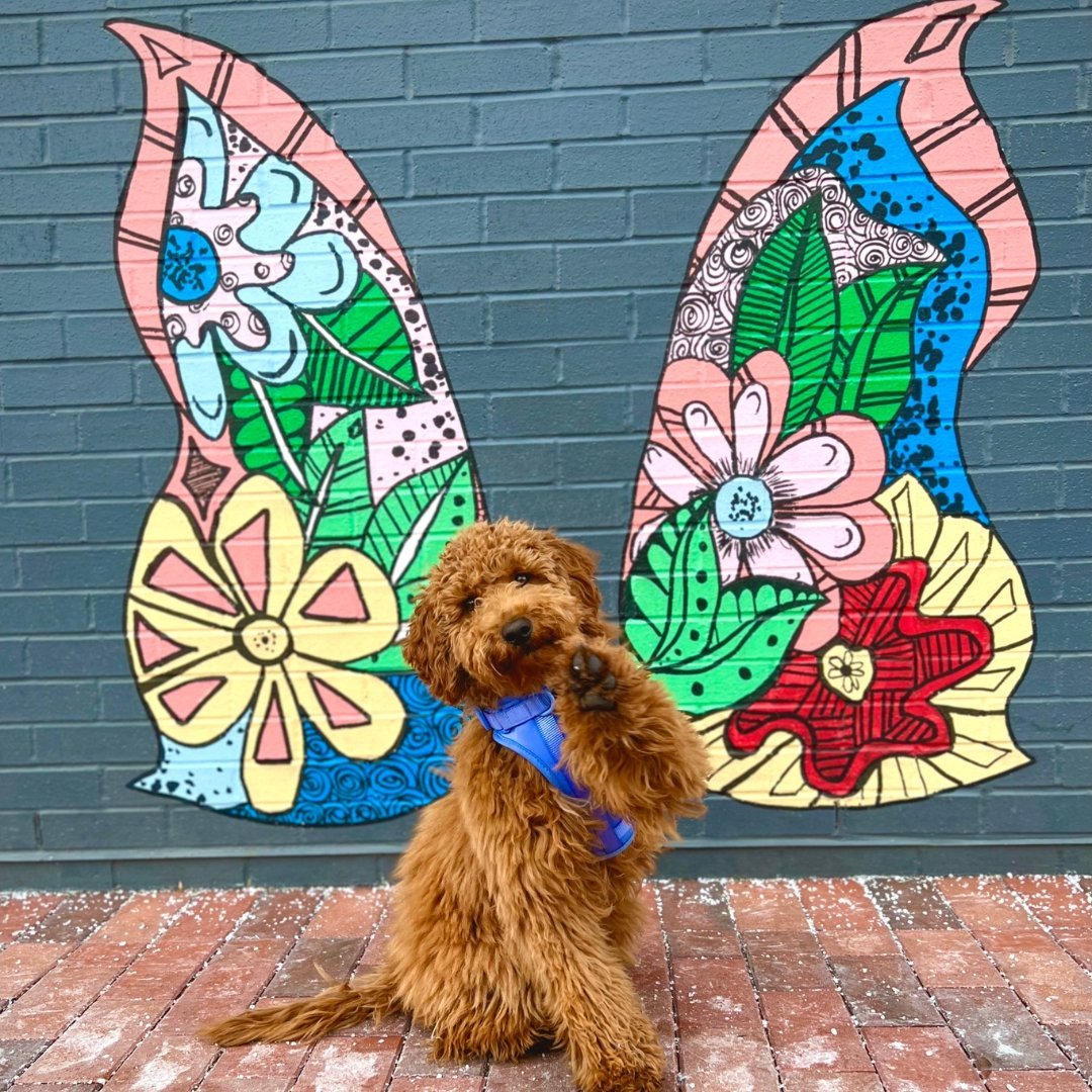 Meet Our FURiends: Kylo and Brittney - Farm To Pet