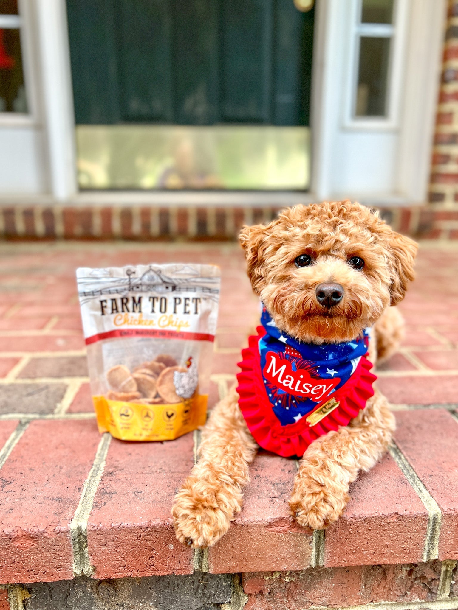 Meet Our FURiends: Maisey and Sarah - Farm To Pet