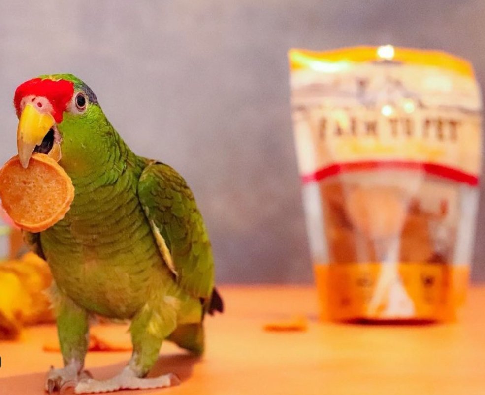 Meet Our FURiends: Reprise Coffee Roasters - Farm To Pet