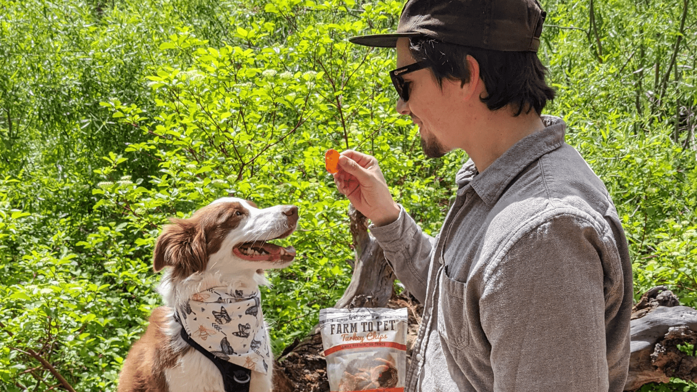 Paws in the Wild - Farm To Pet