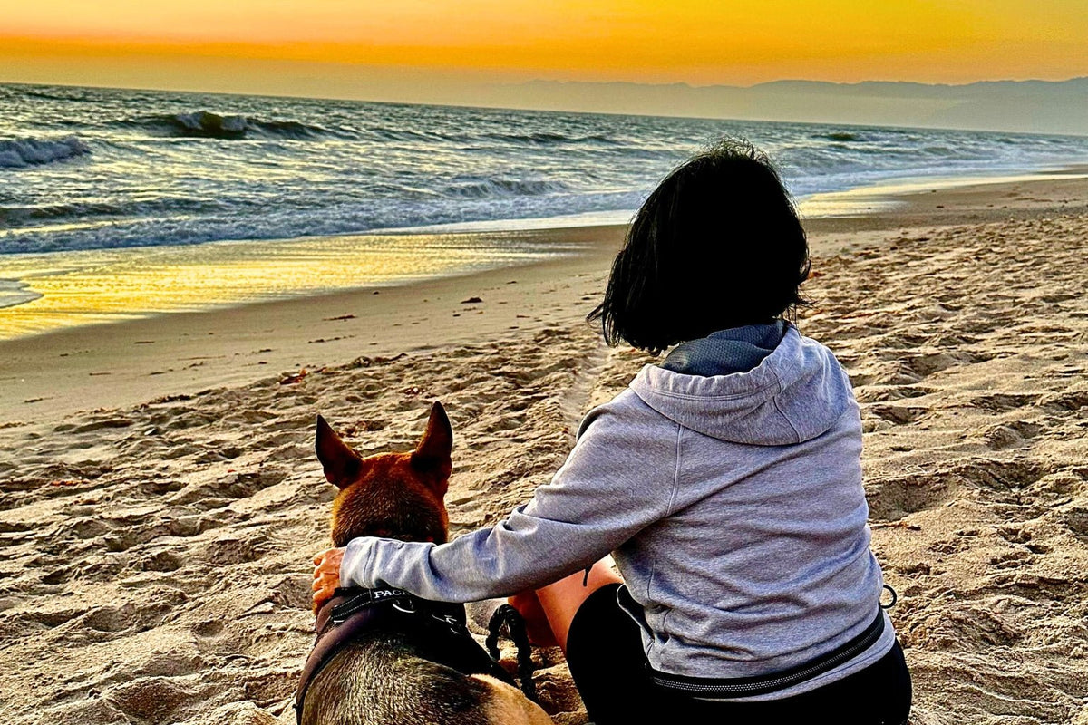 Pupcation 2024! Our Guide to the Top Pet Friendly Vacations - Farm To Pet