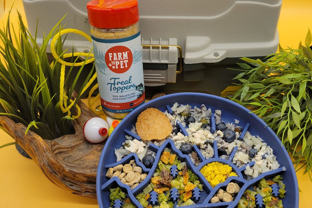 Farm to Pet dog food topper next to a slow feeder dog bowl filled with a healthy dog meal