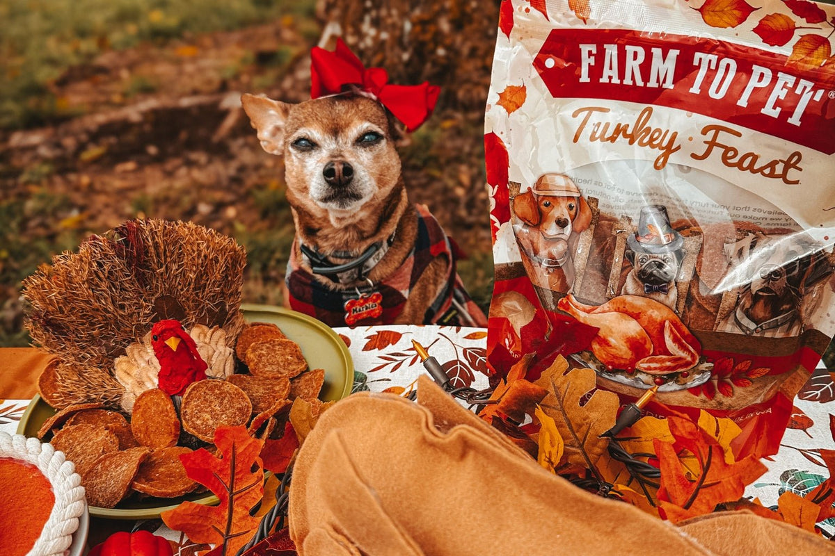 A Healthy Feast of Turkey Treats for Dogs and Cats – Farm To Pet A Healthy Feast of Turkey Treats for Dogs and Cats – Farm To Pet