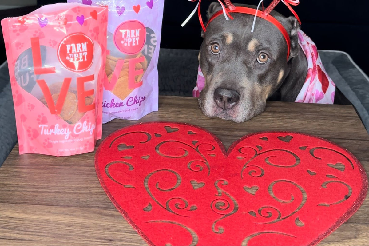 Dog wearing a heart head band next to Valentine's Day dog treats from Farm to Pet.