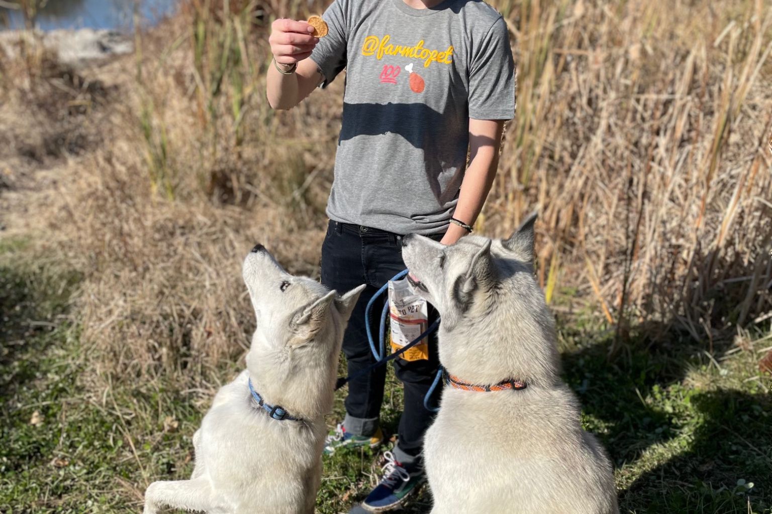 What Makes a High Quality Ingredient in Healthy Pet Treats and Foods? - Farm To Pet