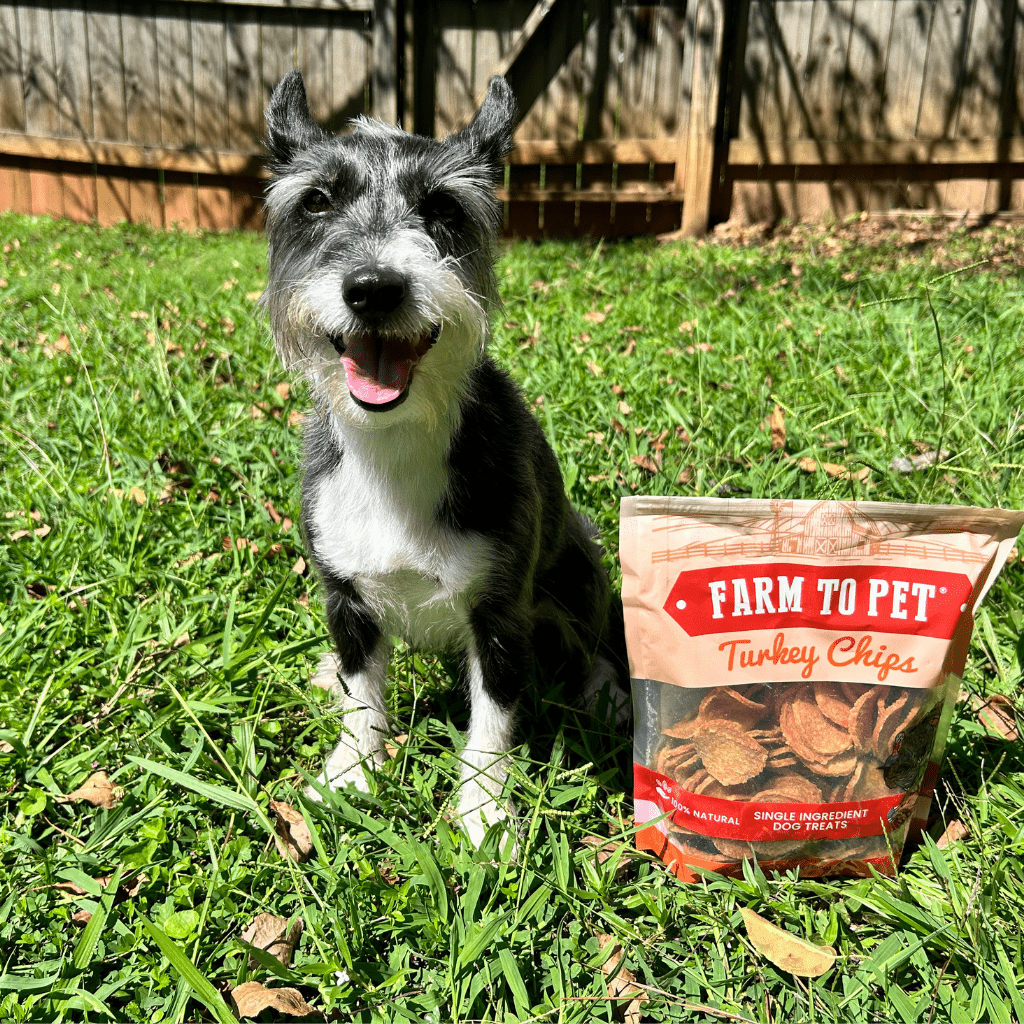 Farm to Pet offers Subscribe and Save Products Chicken Chips sitting near a gray dog outside.