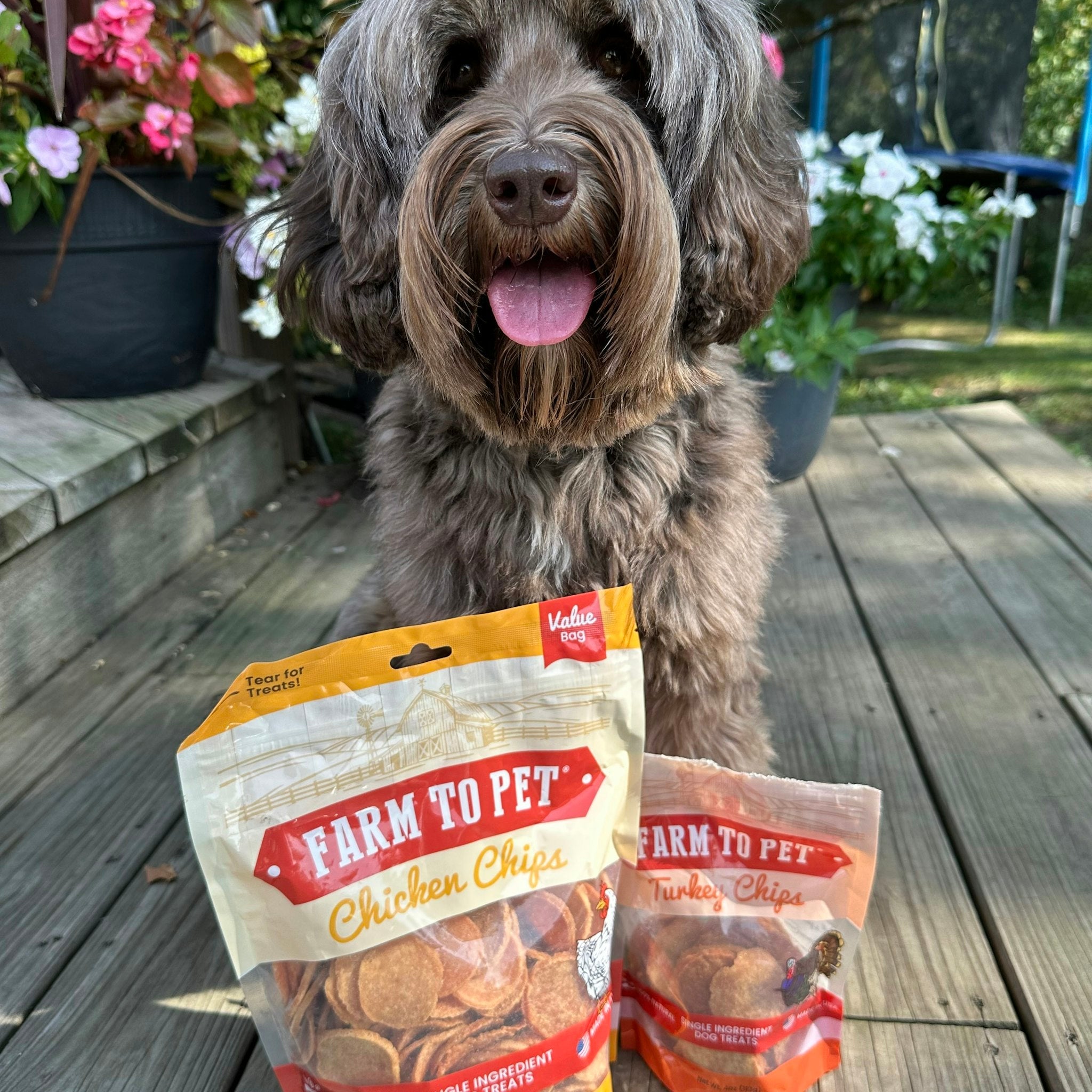 Healthy Dog Protein Chips - Farm To Pet