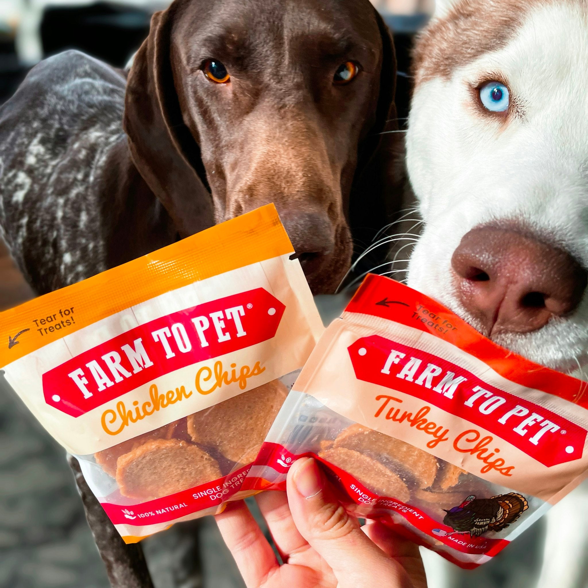 Farm to Pet Healthy Treat Bundles Turkey and Chicken these two dogs love them and can't wait to taste the crunchy goodness.