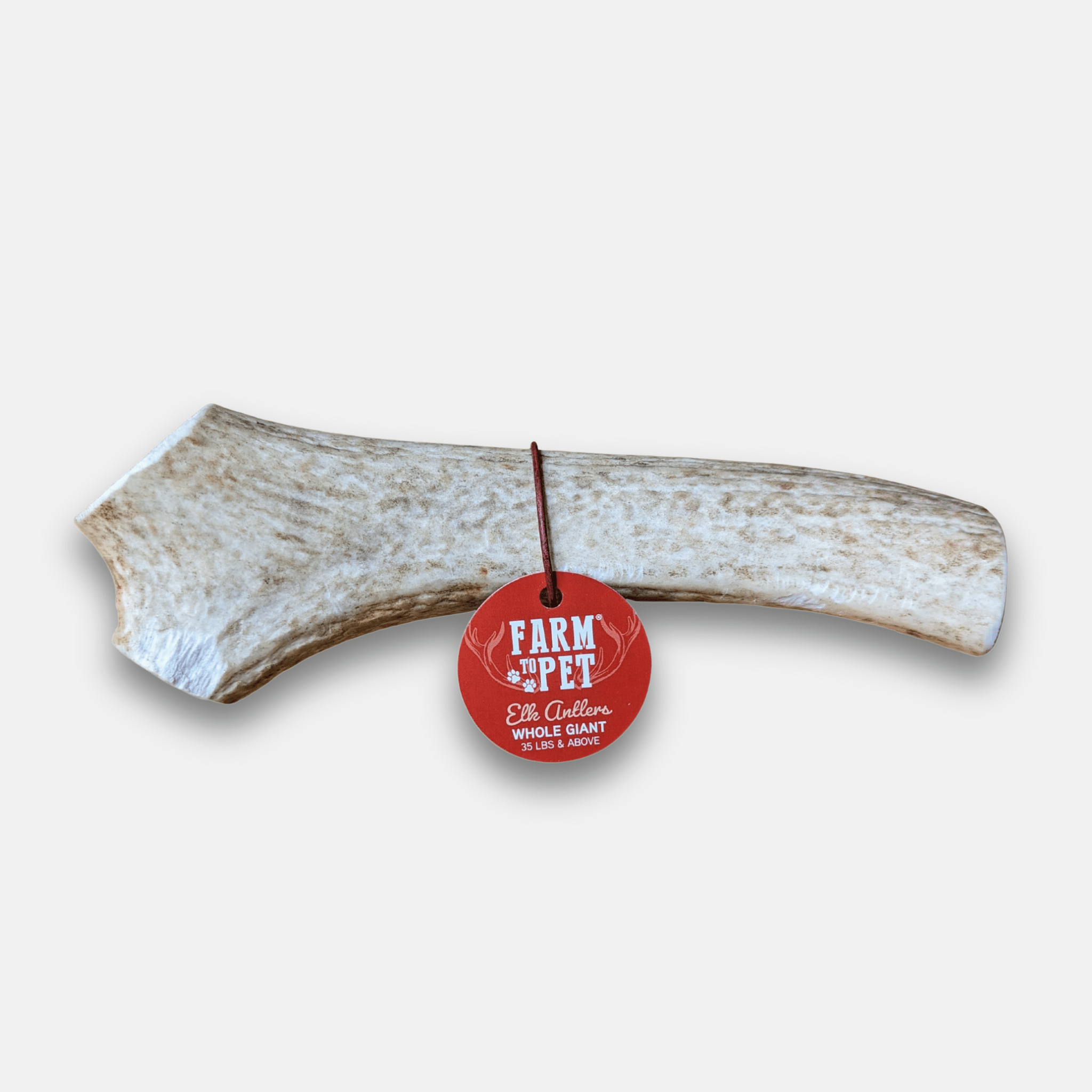 A Whole Giant Elk Antler with a 'Farm to Pet' red tag on a white background.