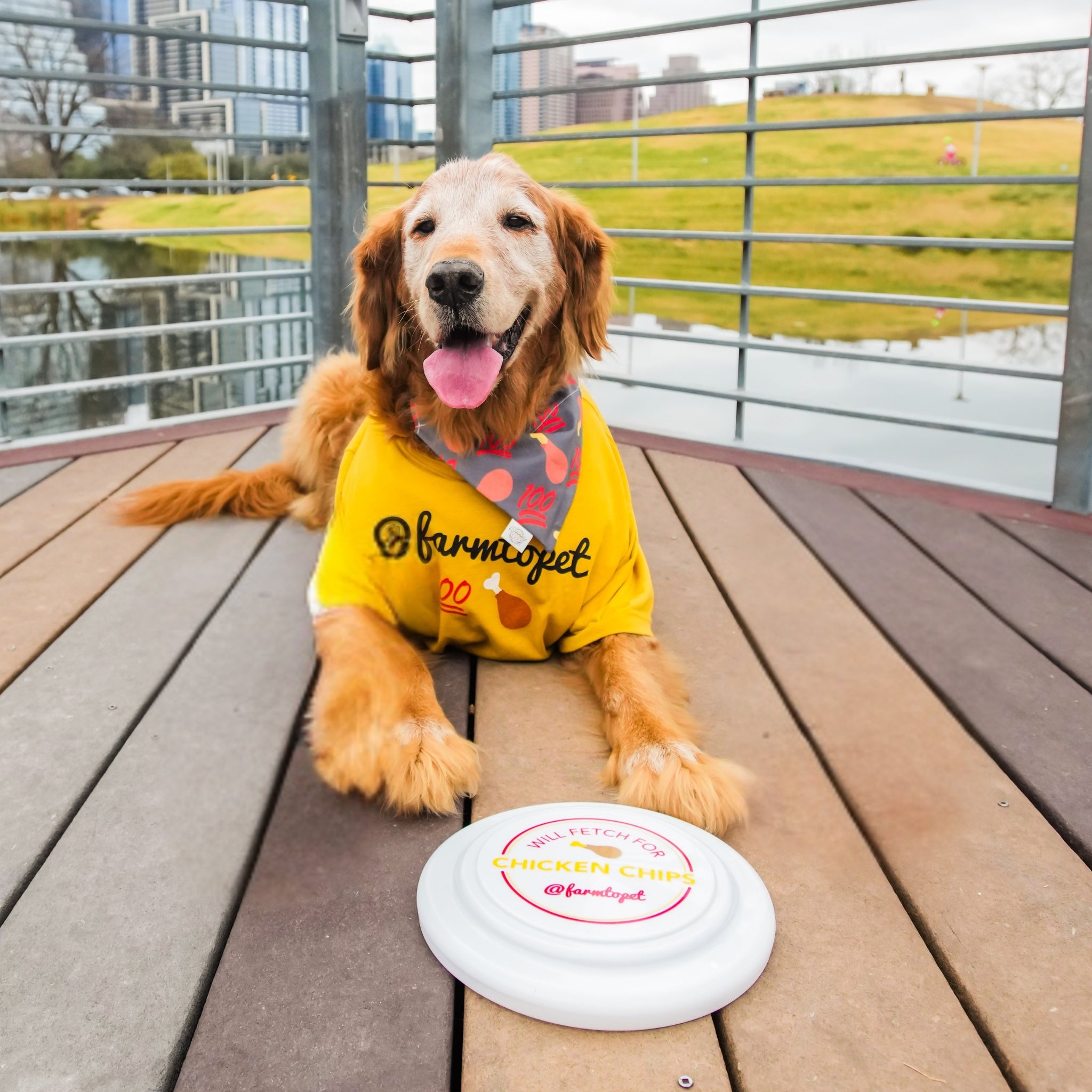 Farm to Pet Original 100% Chicken Adult T-Shirt