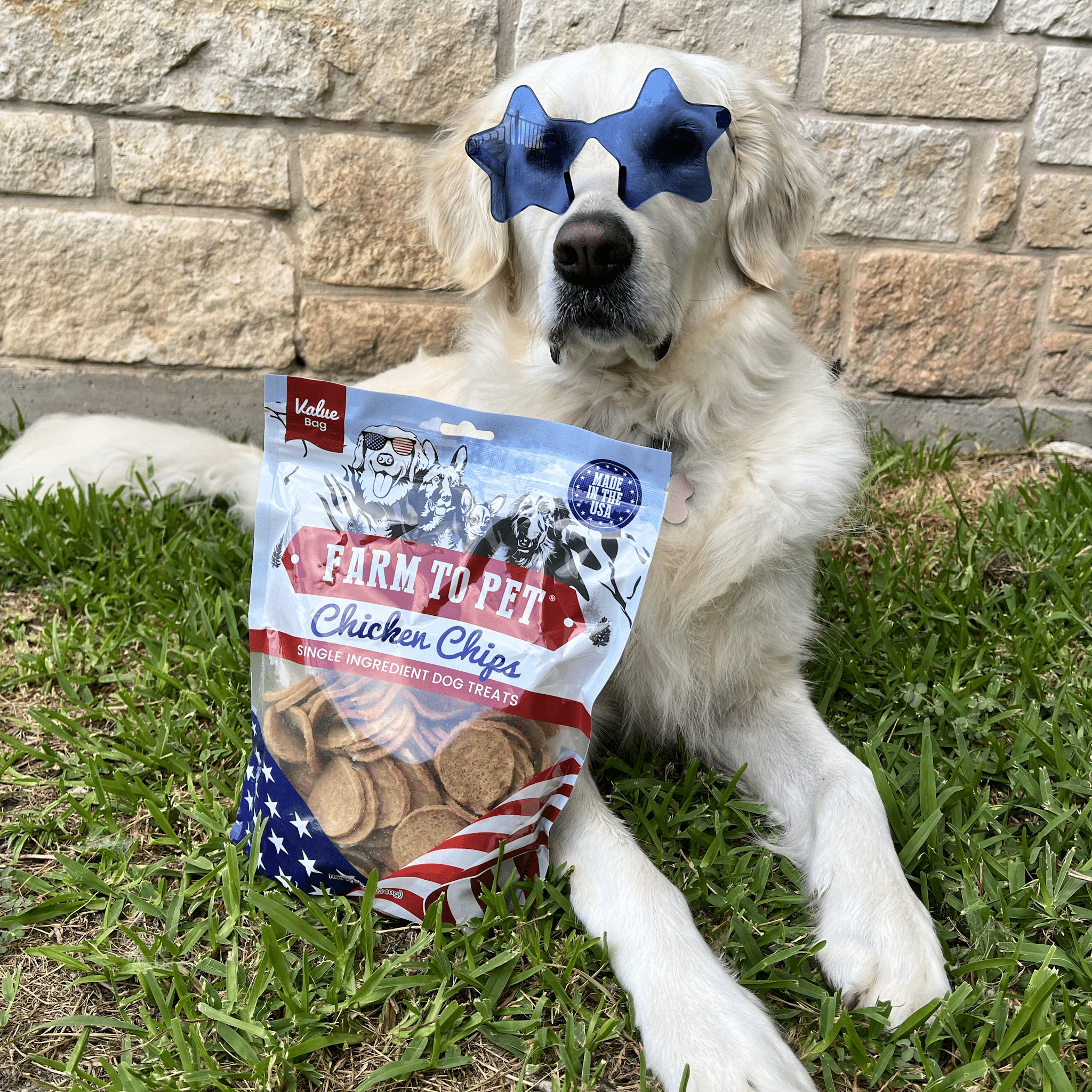 A white Golden Retriever with blue star sun glasses laying by a bag of Farm to Pet Americana Chicken Chips.