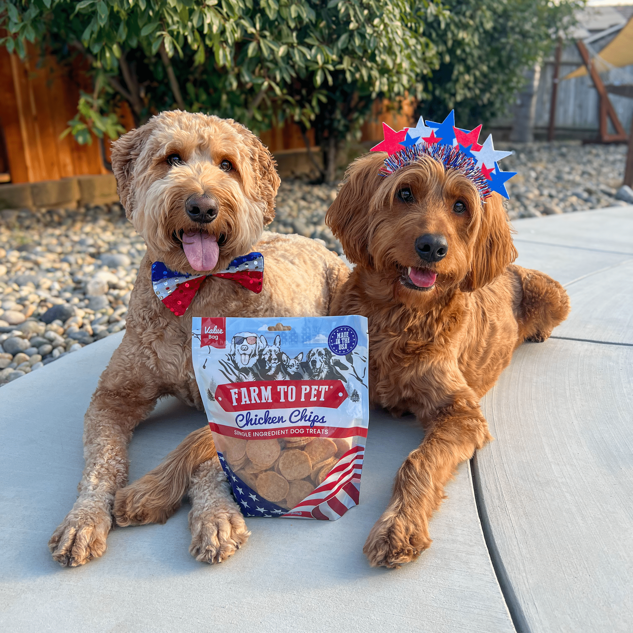 Two Golden doodles wearing red white and blue laying with a bag a Farm to Pet Americana Chicken Chips.