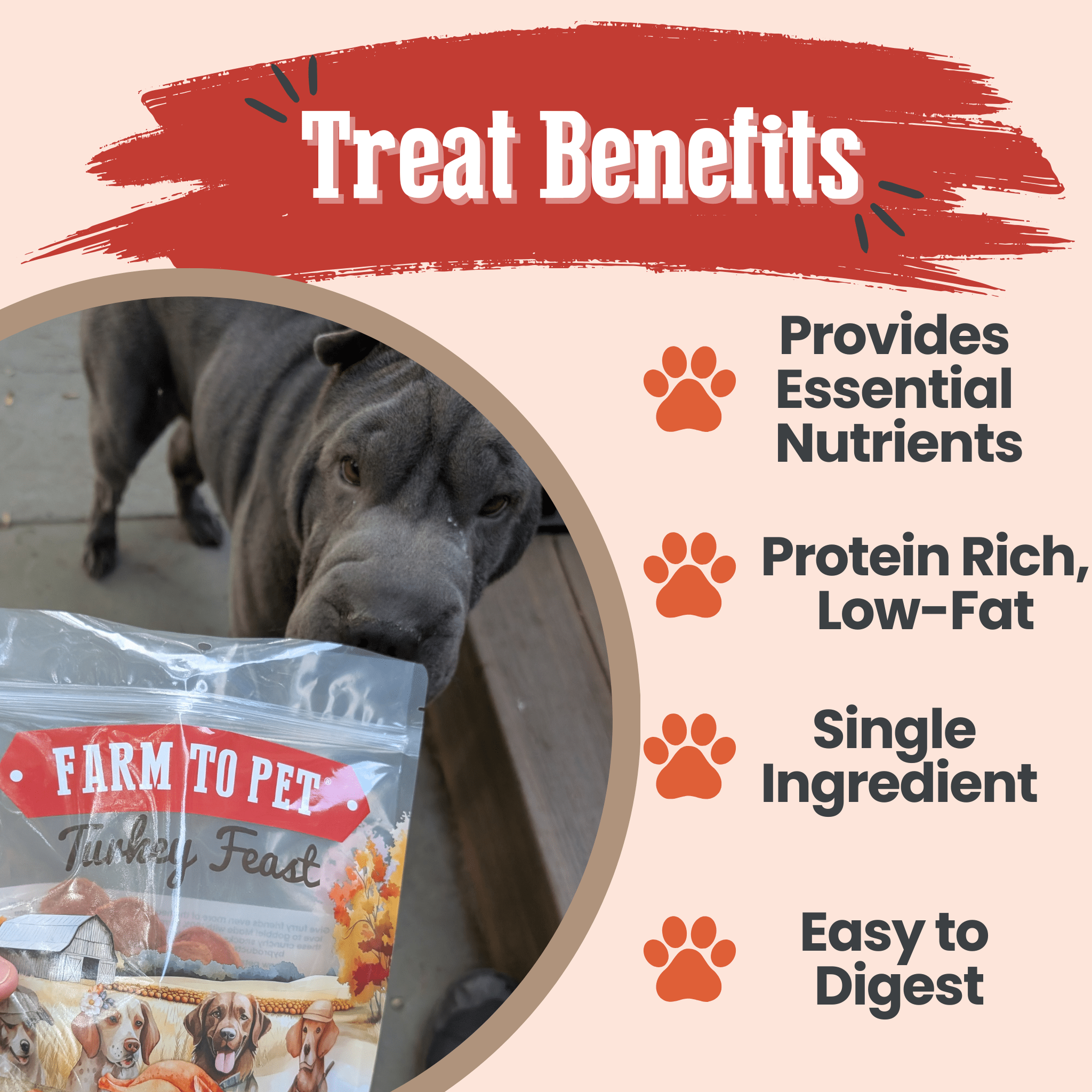 Farm to Pet Dog treat package with text highlighting benefits on a beige background with a dog sniffing a Turkey Feast bag.