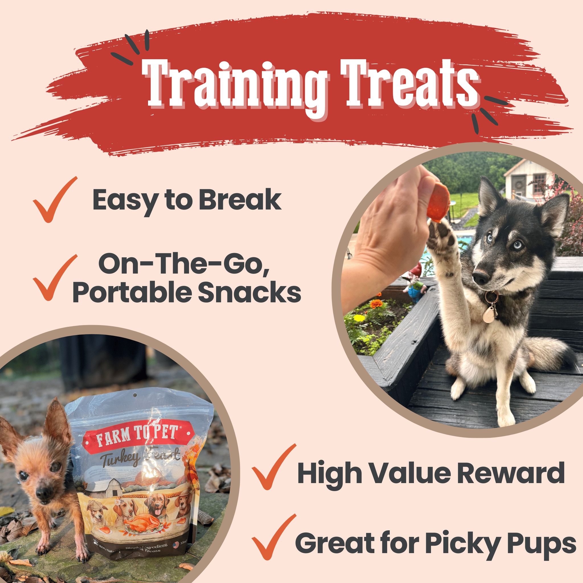Farm to Pet Turkey Feast Chips promotional graphic for dog training treats with text and images of two dogs with treats.
