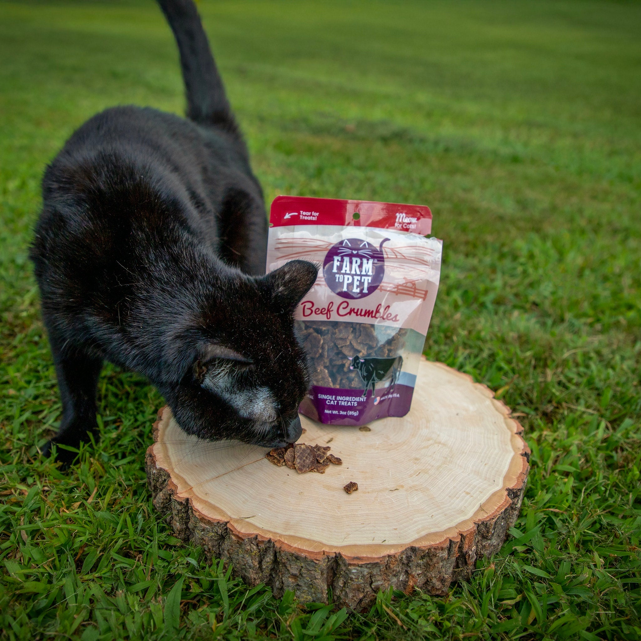 Black cat sniffing a package of Farm to Pet Beef Crumbles on a grassy background.