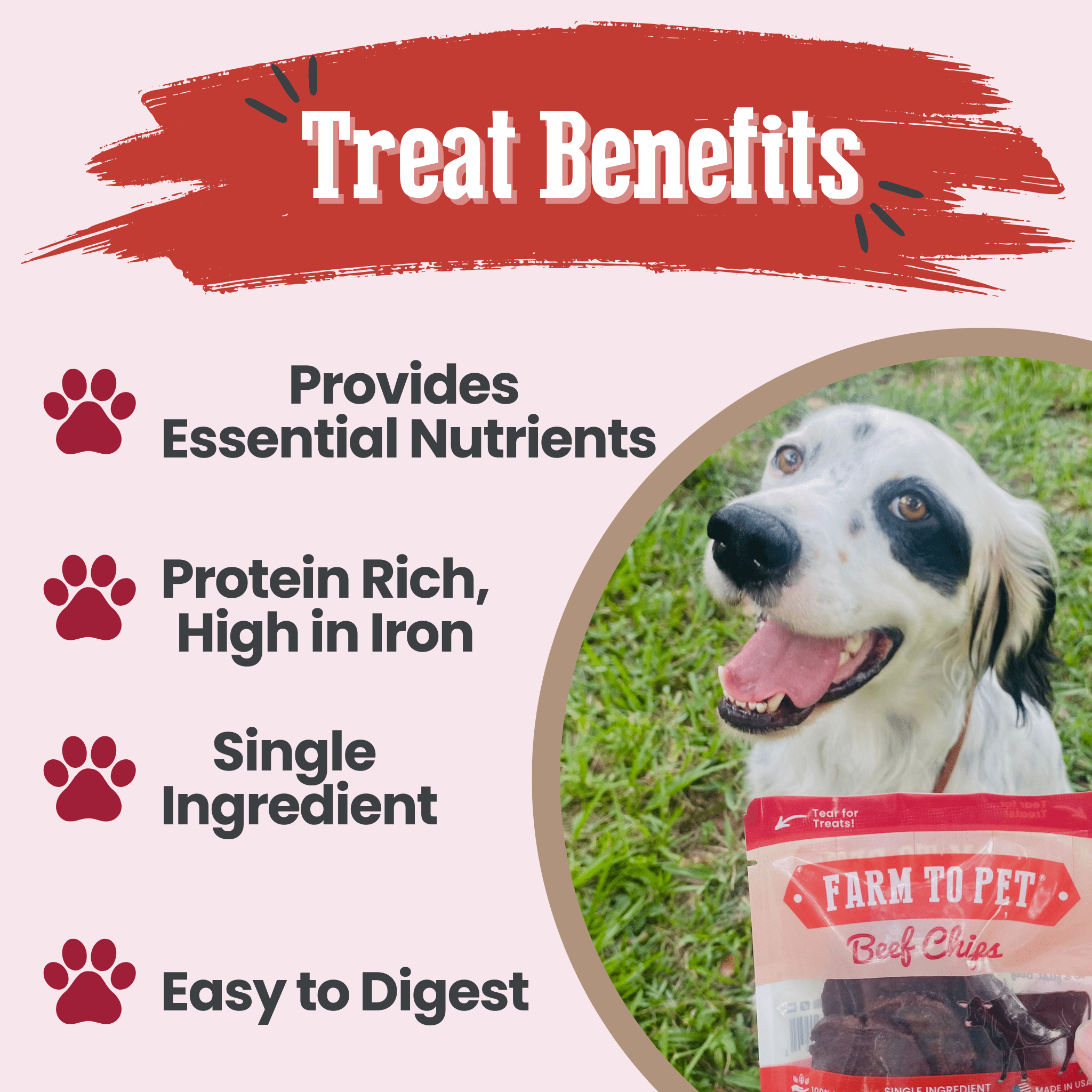 A Black and white dog sitting next to a Farm to Pet Beef Snack Pack treats with text highlighting benefits.