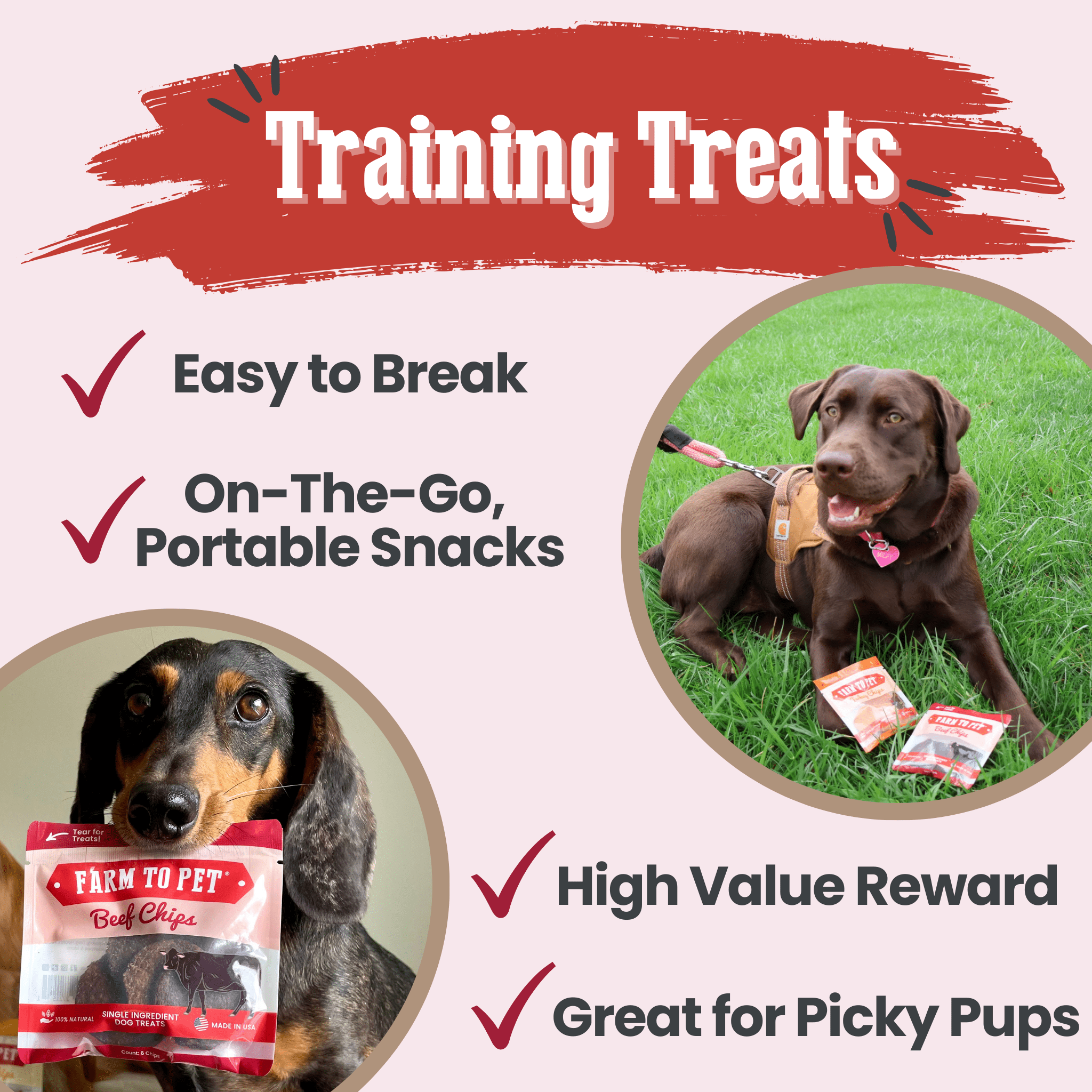 Beef Chips Snack Pack Bundles | Dog Treats for Training & Travel - Farm To Pet