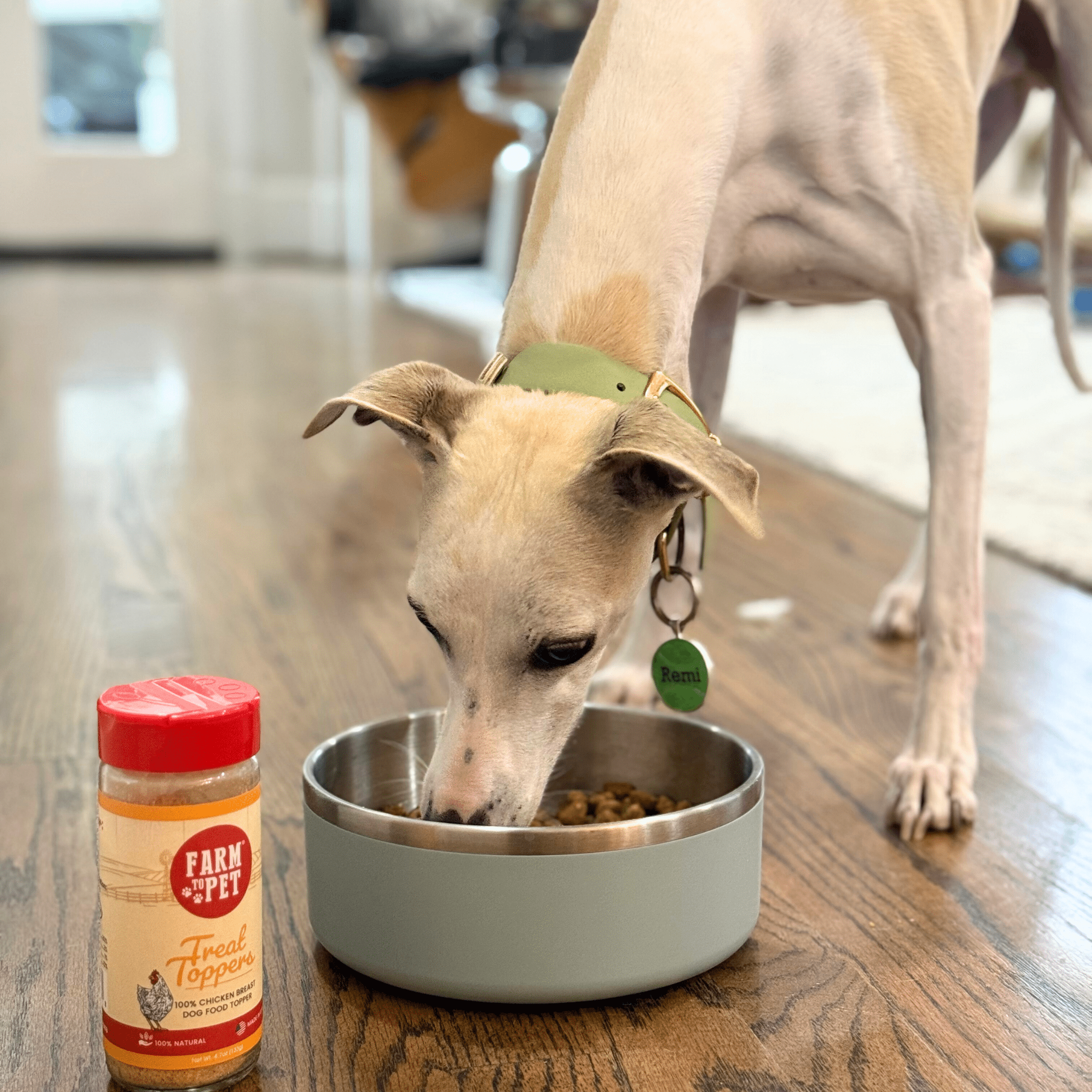 Dog eating from a bowl with a jar of Farm to Pet Chicken Toppers on a wooden floor.