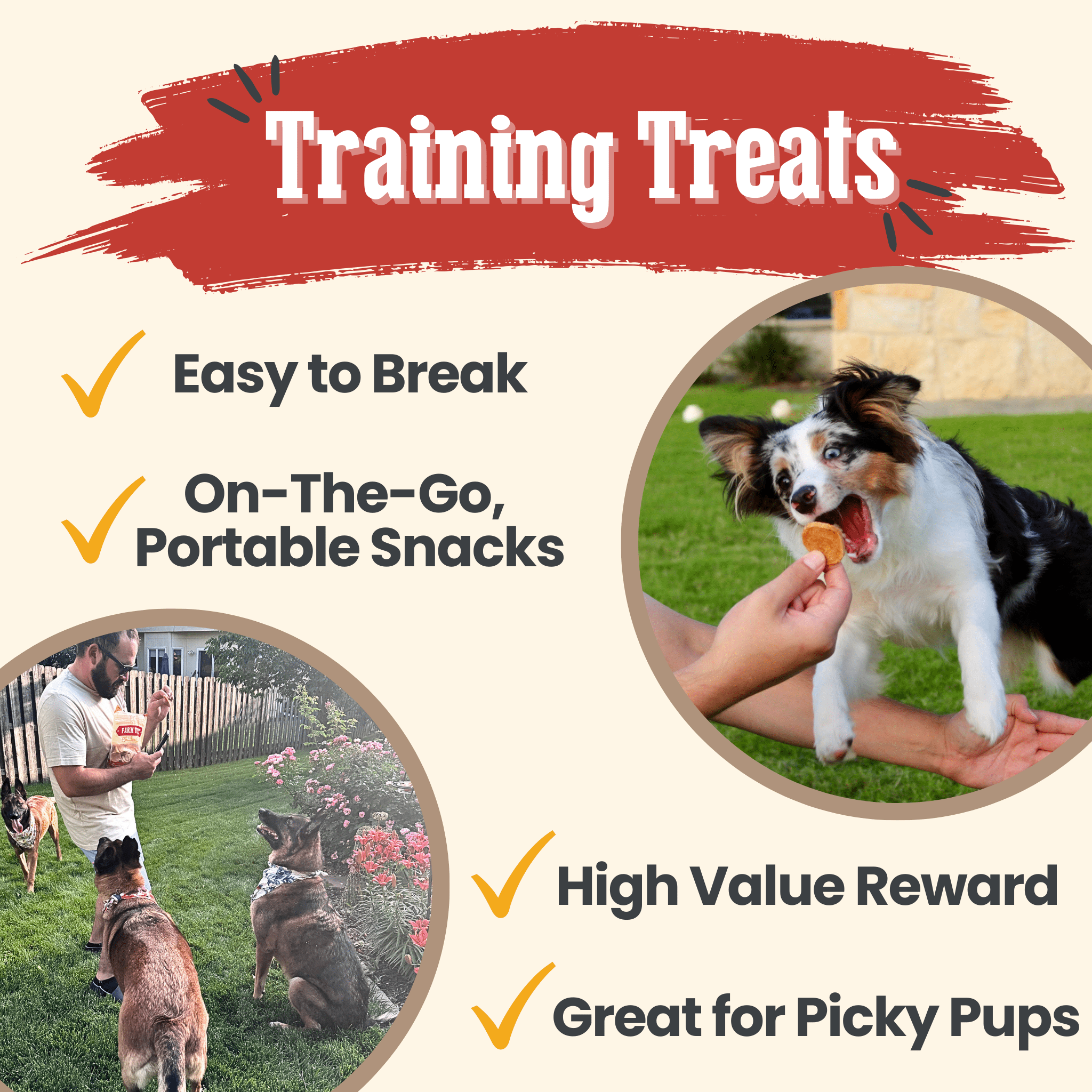 Farm to Pet Dog training treats advertisement with a dog eating a treat and people training dogs outdoors.