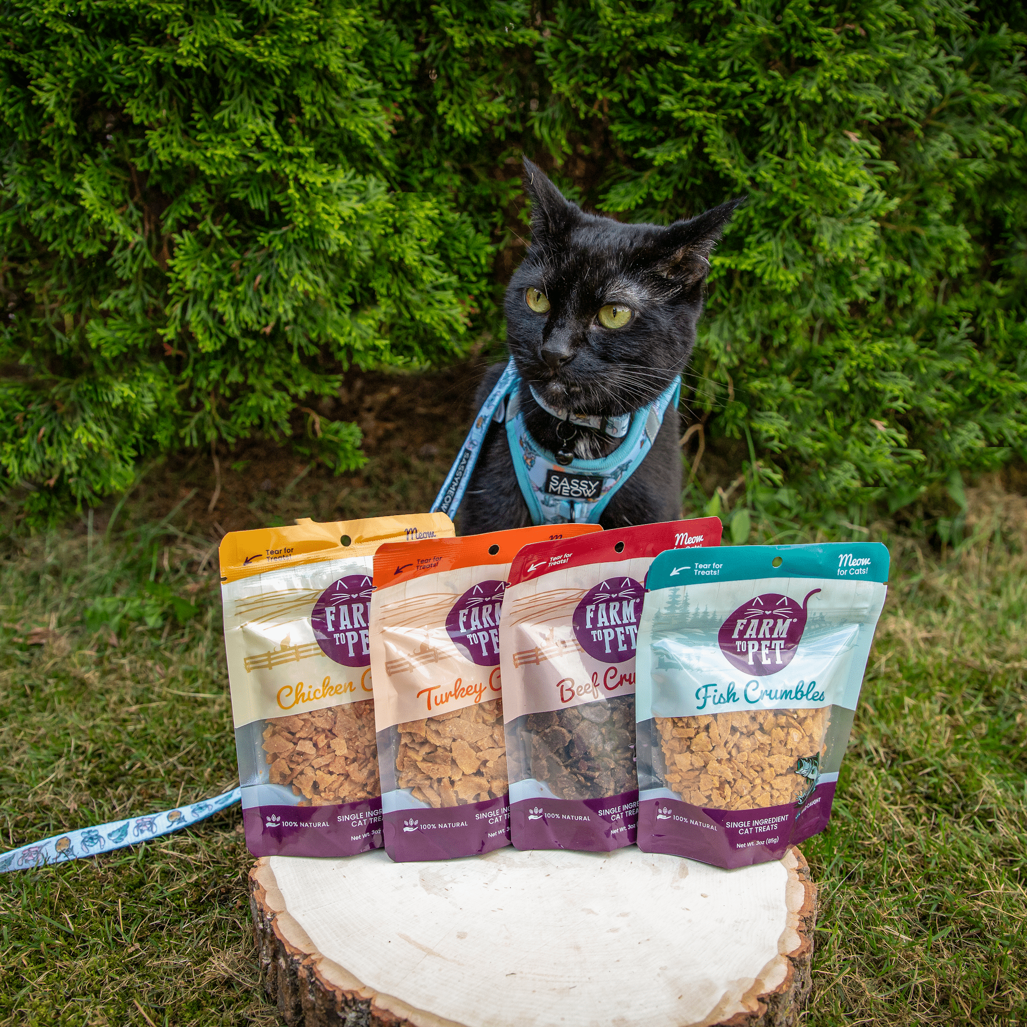 Black Cat sitting behind a wooden stump with packages of Farm to Pet Chicken, Turkey, Beef and Fish Cat Crumbles.