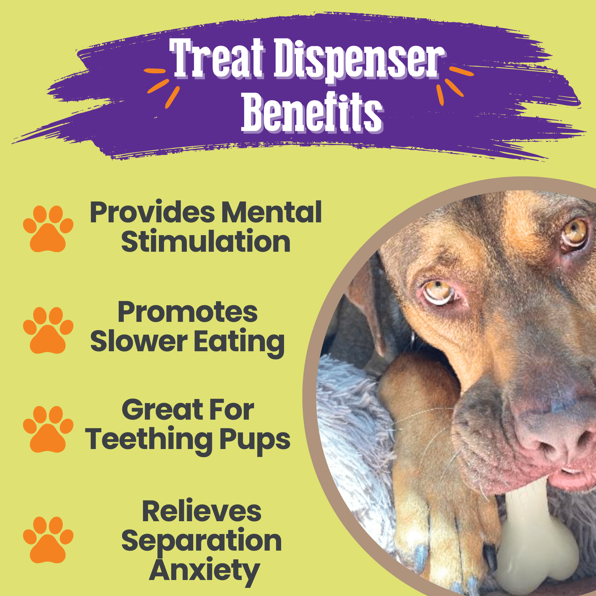 Farm to Pet Dog treat dispenser glow in the dark white bone benefits listed with a dog image on a green background.