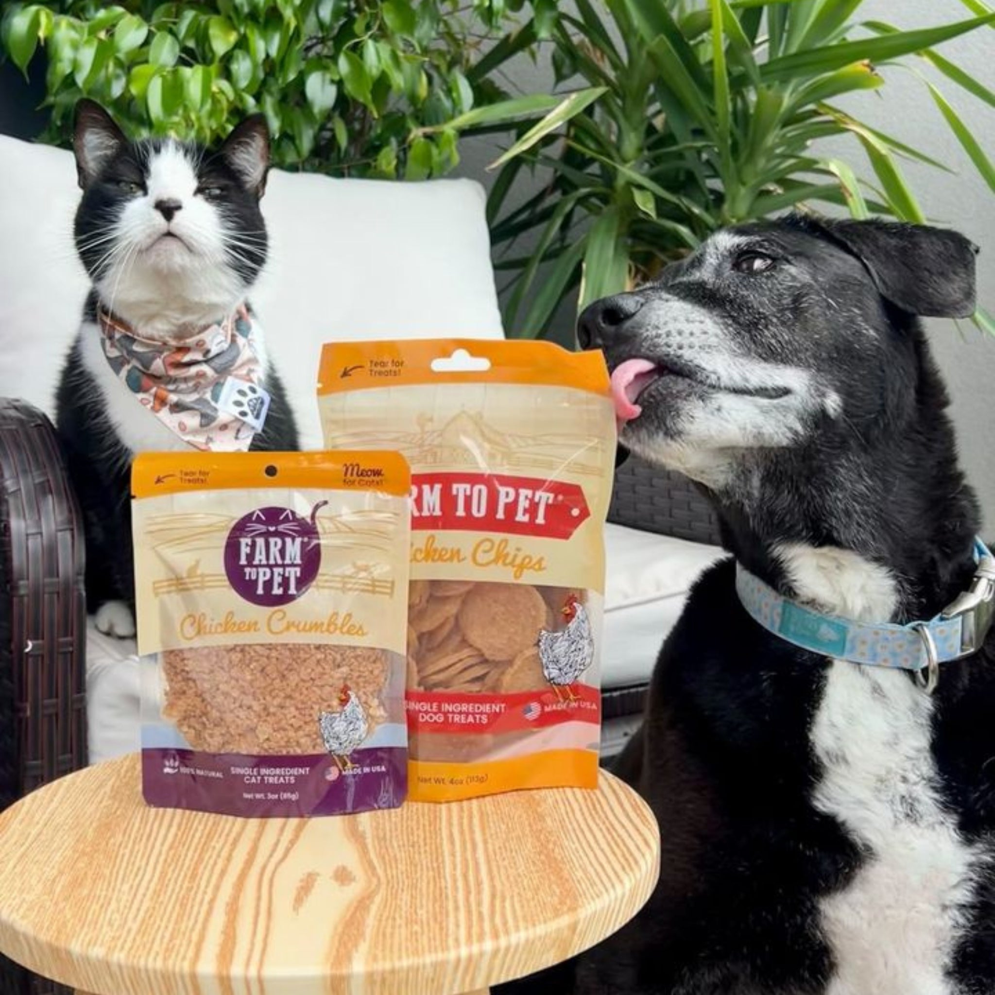 Farm to Pet healthy treats enjoyed by dogs and cats