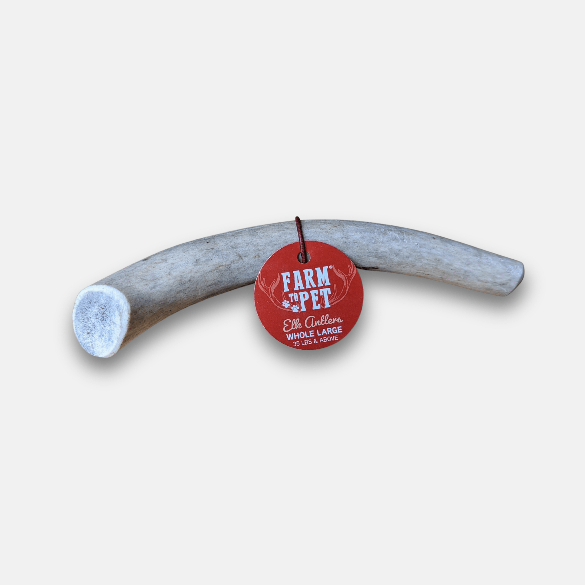 Elk Antler with a red tag labeled 'Farm Pet' on a light gray background.