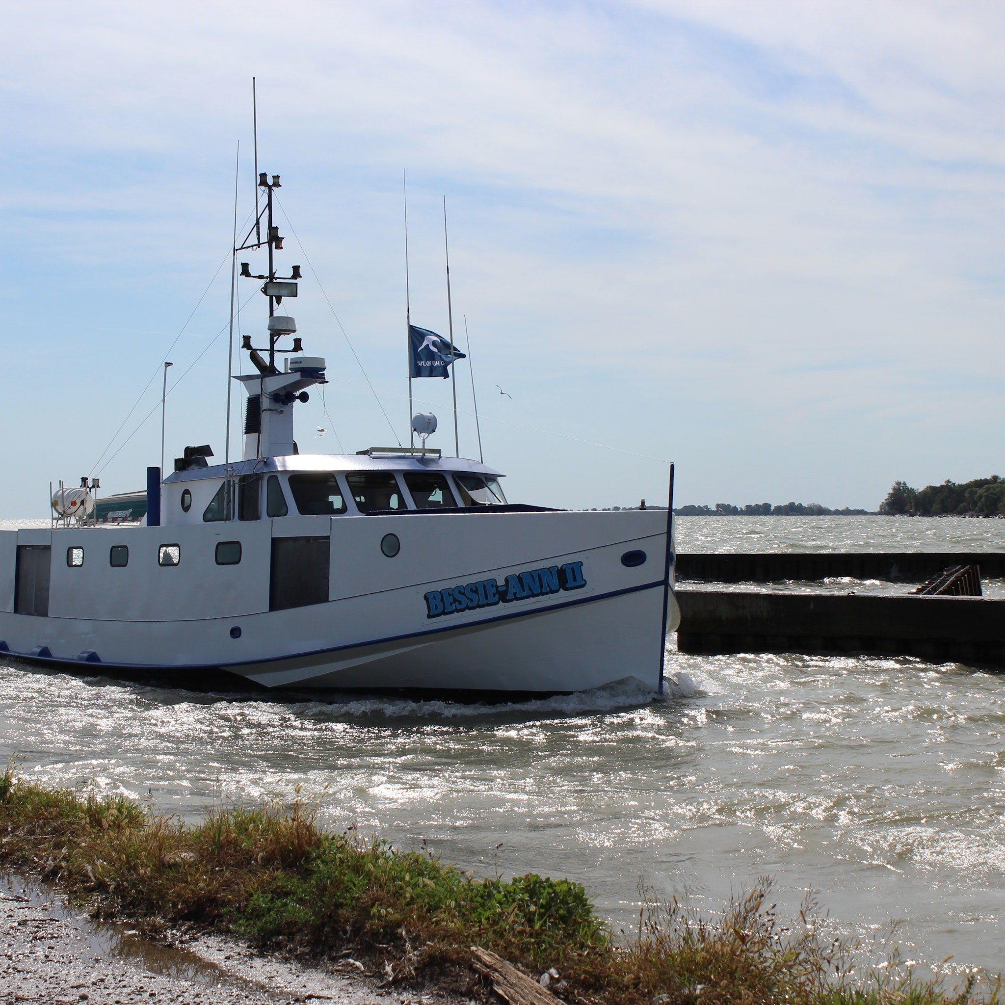 A boat entering a body of water with a clear sky that brings in the catch for Farm to Pet Fish Chips.