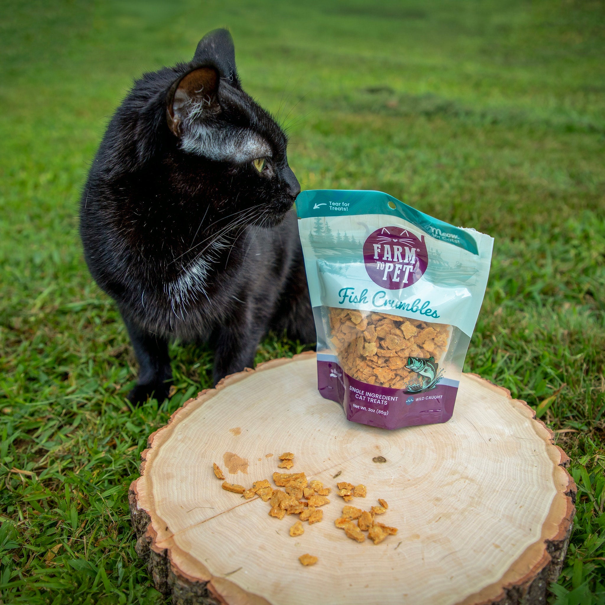 Black cat looking at a bag of Farm to Pet Fish Cat Crumbles on a grassy background